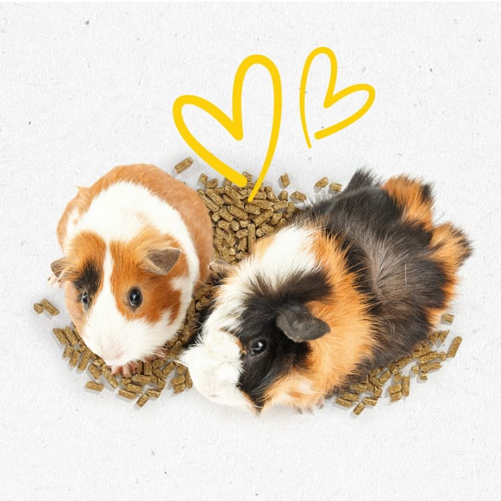little friends