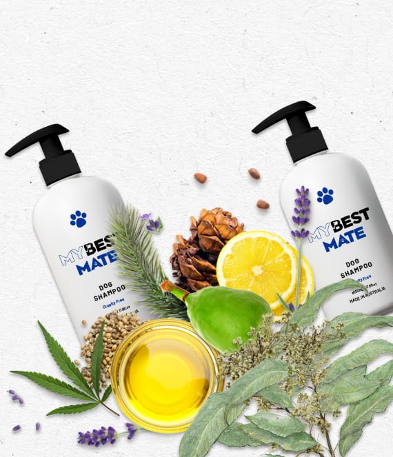 My Best Mate product range